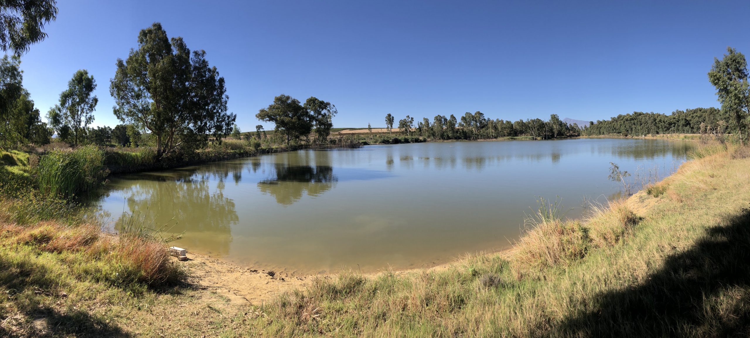 Farm dam - PAARL